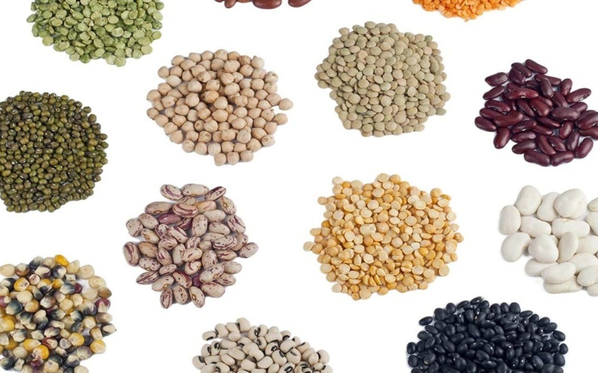 Texas native seed supplier
