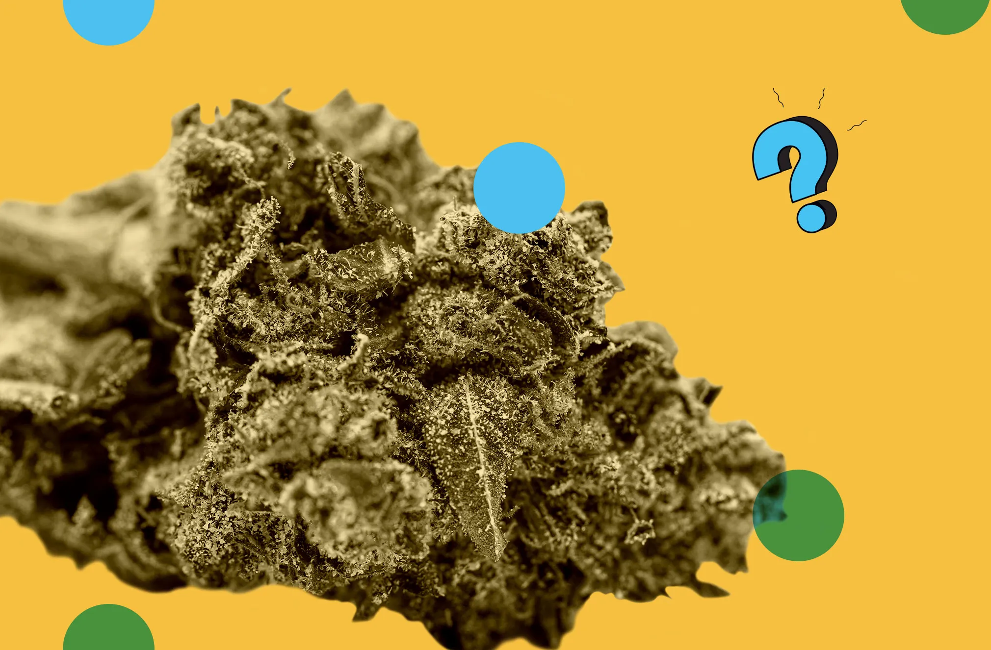 Transform Relaxation With THCA Flower Creating Balanced Mental And Physical Experience